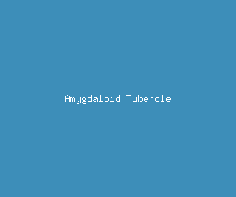 amygdaloid tubercle meaning, definitions, synonyms